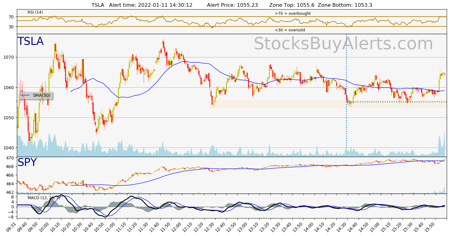 Day Trading Alert TSLAon Tuesday, January 11, 2022