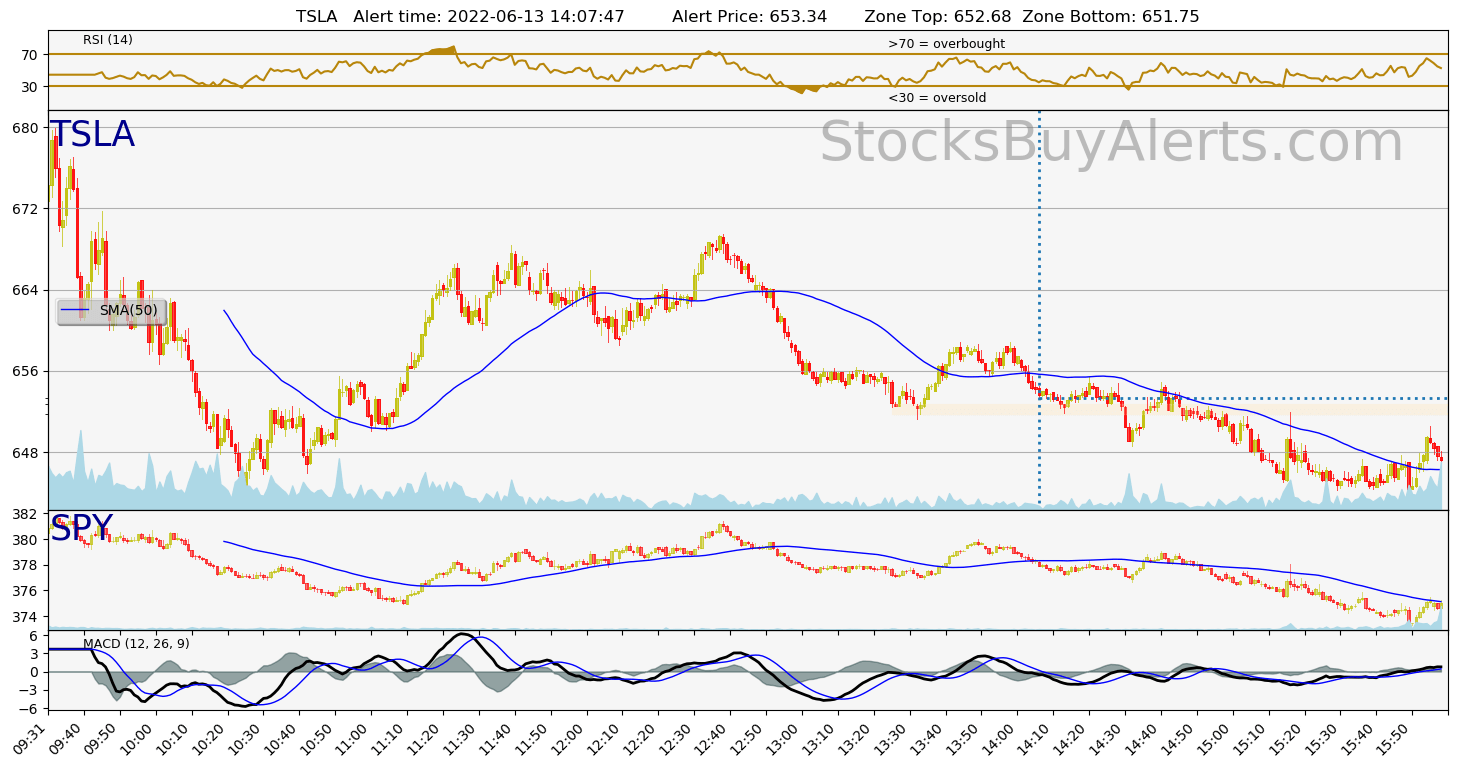 Day Trading Alert TSLAon Monday, June 13, 2022
