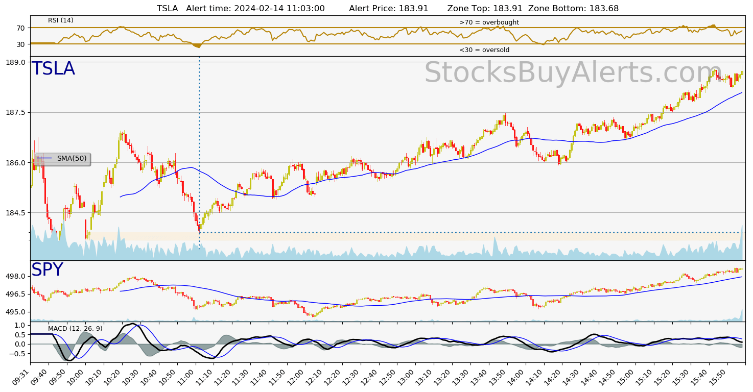 Day Trading Alert TSLAon Wednesday, February 14, 2024