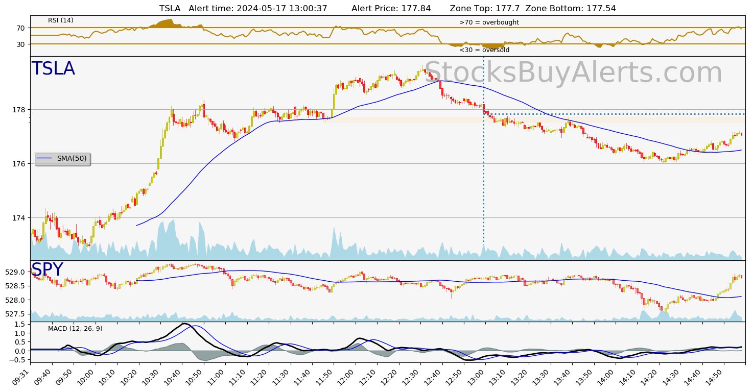 Day Trading Alert TSLAon Friday, May 17, 2024